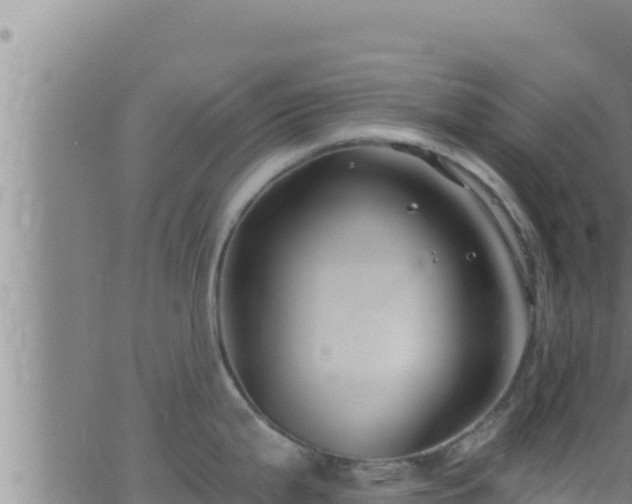 X0000062911199200601201928