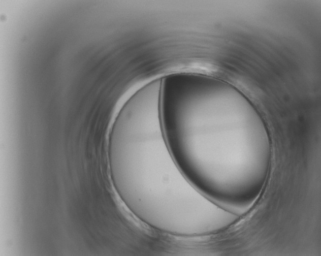 X0000062911200200601201928