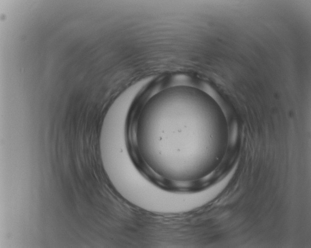 X0000062911202200601201927