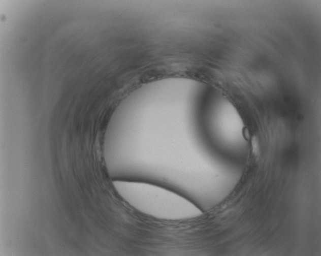 X0000062911203200601201927