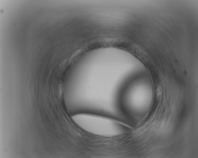 X0000062911204200601201927