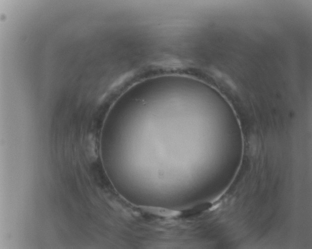 X0000062911205200601201927