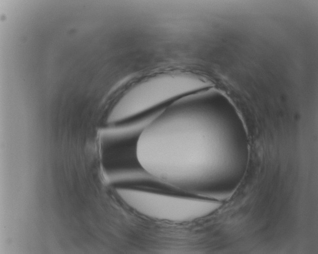 X0000062911206200601201927