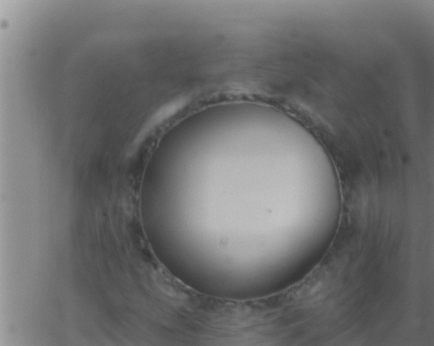 X0000062911207200601201928