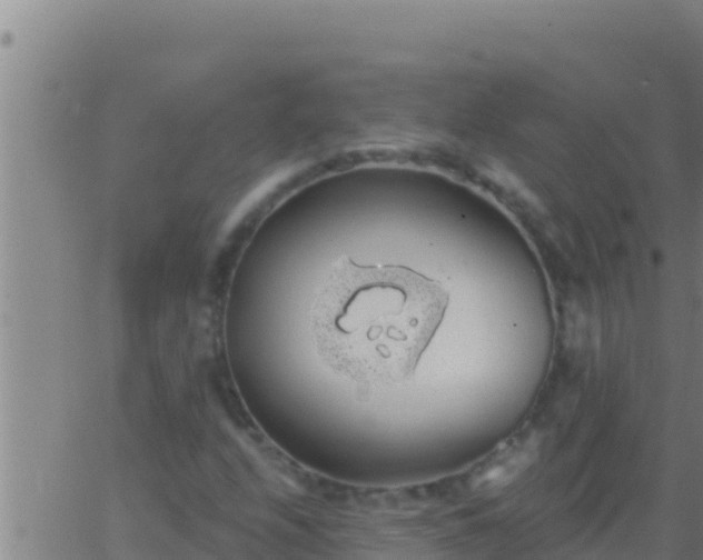 X0000062911208200601201928