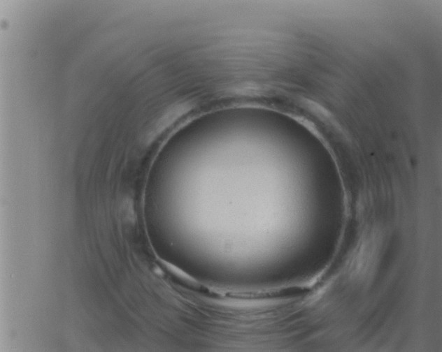 X0000062911209200601201928