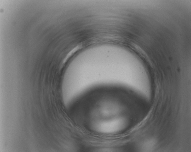 X0000062911210200601201928