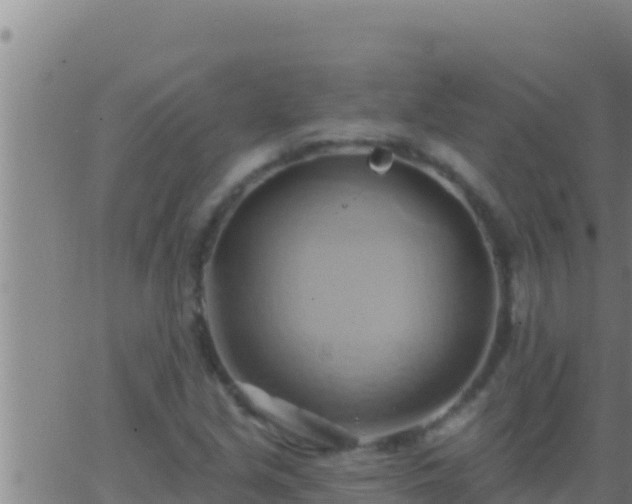 X0000062911213200601201928