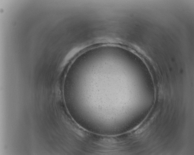 X0000062911215200601201928