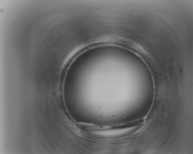 X0000062911216200601201928