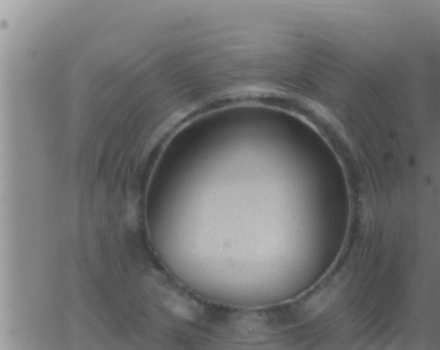 X0000062911217200601201928