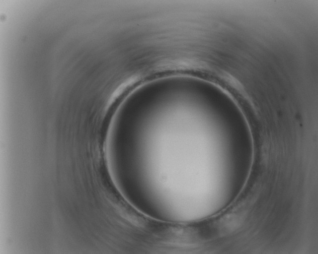 X0000062911218200601201928