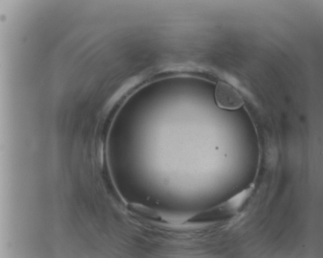 X0000062911221200601201928