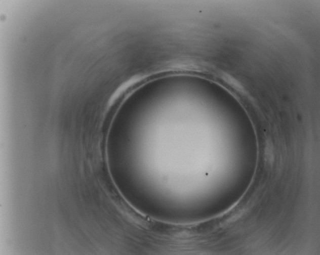 X0000062911222200601201928