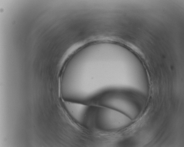 X0000062911223200601201928