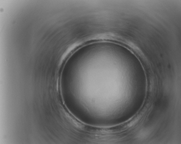 X0000062911224200601201928