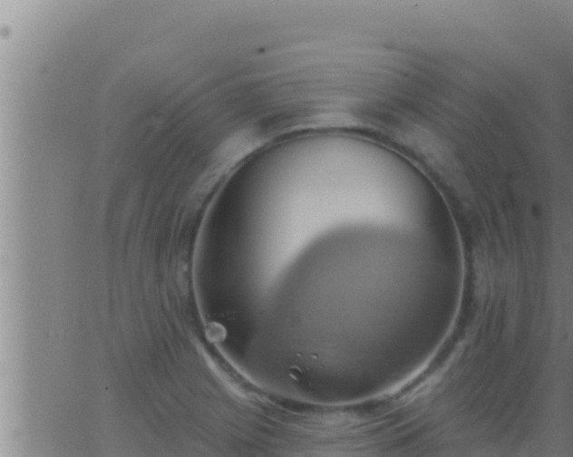 X0000062911225200601201928