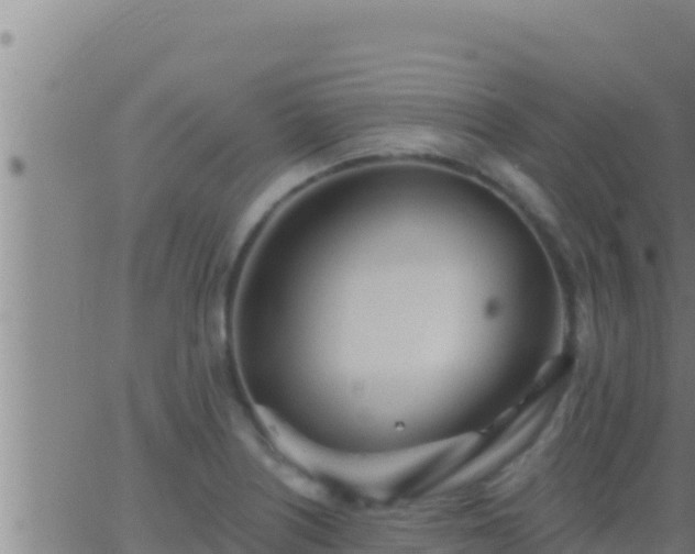 X0000062911226200601201928