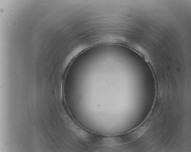 X0000062911227200601201928