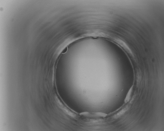 X0000062911228200601201928