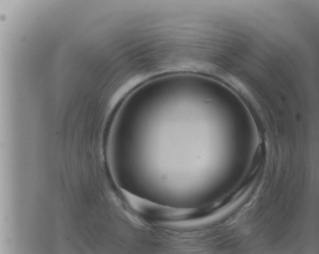 X0000062911230200601201928