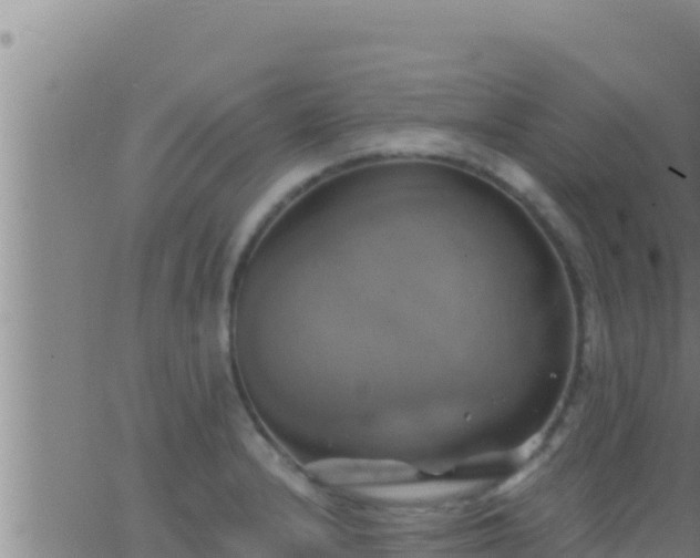 X0000062911232200601201928