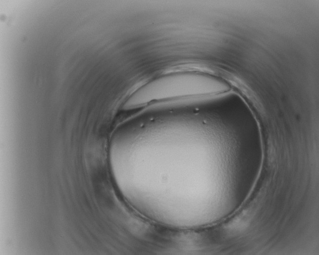 X0000062911233200601201928