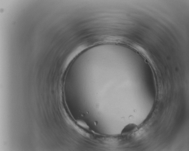 X0000062911235200601201928