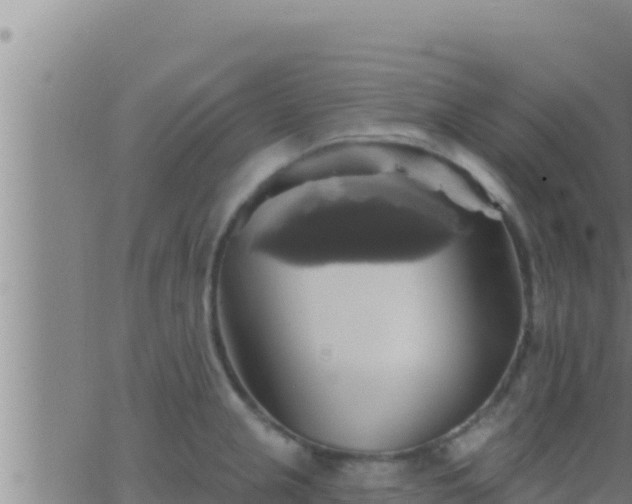 X0000062911237200601201928