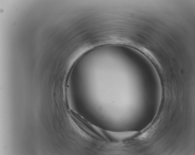 X0000062911238200601201928