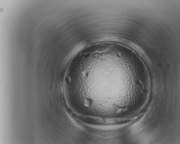 X0000062911241200601201928