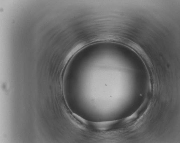 X0000062911242200601201928