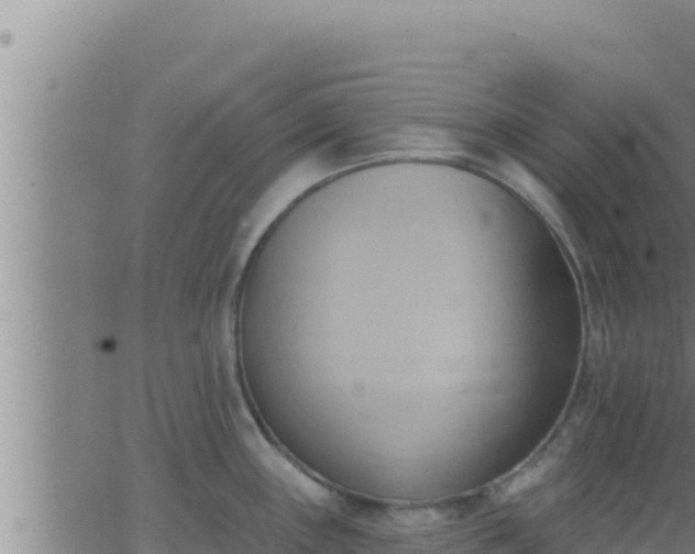 X0000062911243200601201928