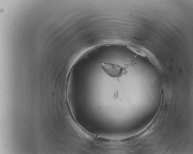 X0000062911244200601201928