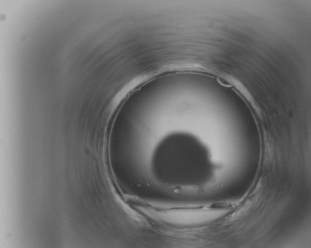 X0000062911245200601201928