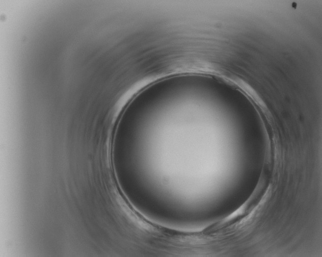 X0000062911246200601201928