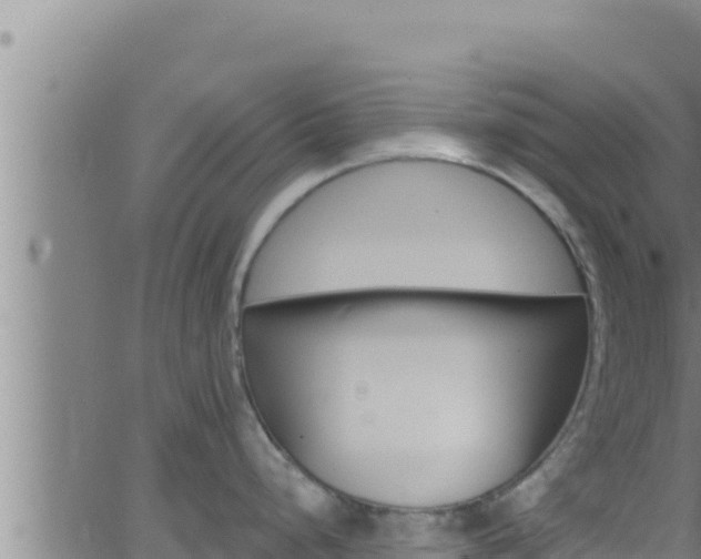 X0000062911248200601201928