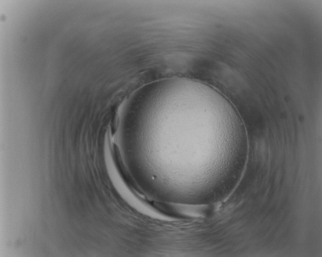 X0000062911250200601201927