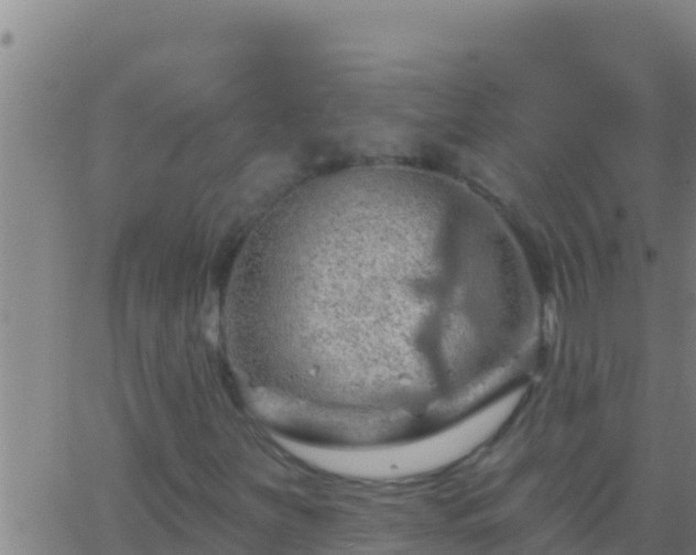 X0000062911251200601201927