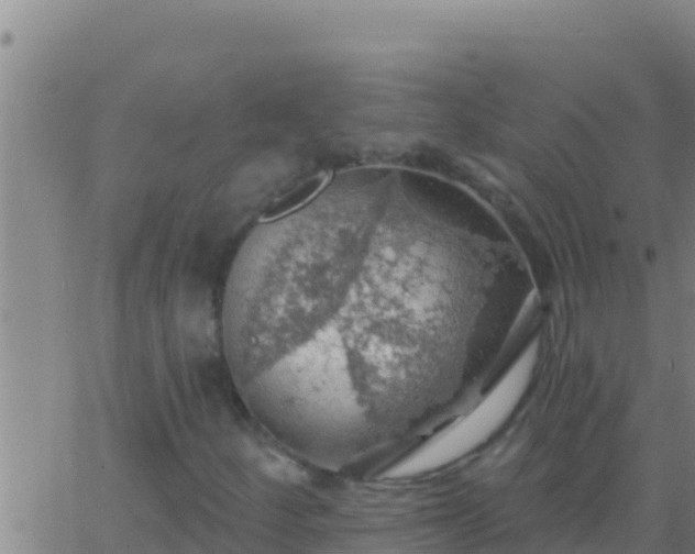 X0000062911252200601201927