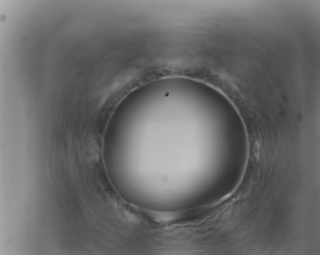 X0000062911253200601201927