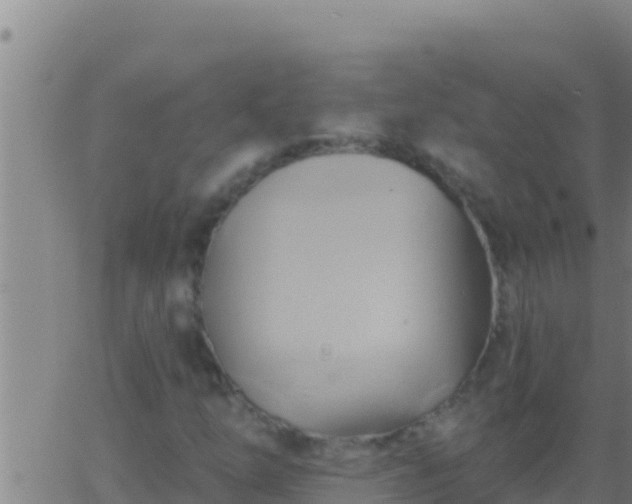 X0000062911254200601201927