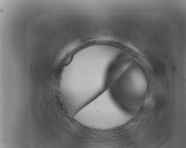 X0000062911255200601201927