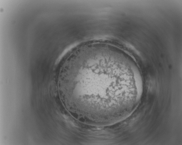 X0000062911256200601201927