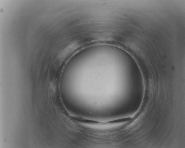 X0000062911257200601201927