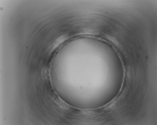 X0000062911258200601201927