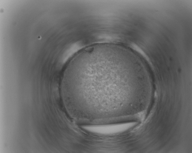 X0000062911259200601201927