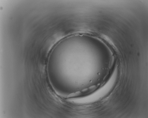 X0000062911260200601201927