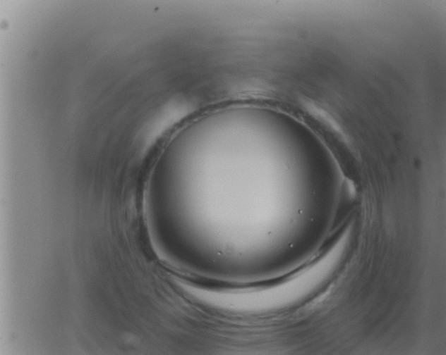 X0000062911261200601201927