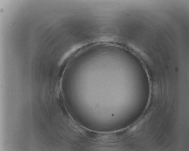 X0000062911262200601201927